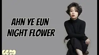 Ahn Ye Eun - Night Flower (야화) Easy Lyrics