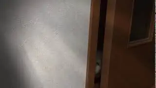 meomeocl 119 clip14