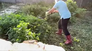 КУПИЛИ ДАЧУ НА МОРЕ🏡ТРАВА У ДОМА👍