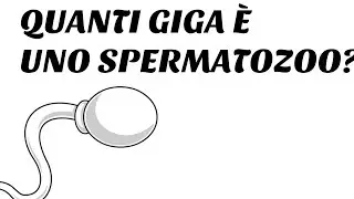 GLI SPERMATOZOI VISTI DALL'INFORMATICA