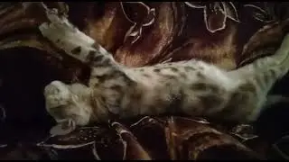 Mataron a un inocente