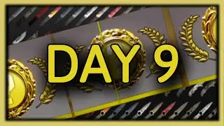 Opening 1 Case EVERY DAY until I Get a Knife #9