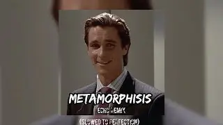 Metamorphosis - Slowed To Perfection (Echo Version)