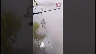 ТРИ вопроса женщины на рыбалке за 15 сек #travel #animals