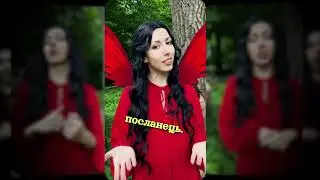 Про обрядове деревце - гільце у святкуванні Купала і не тільки 🌿