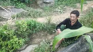 toj siab channel