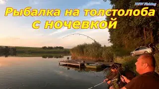 Эти монстры Рвут снасти! Рыбалка на Толстолоба с ночевкой 🔥