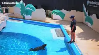 New York Aquarium Coney Island board walk vlog