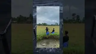 #meme #funnyvideo #absurd #shorts