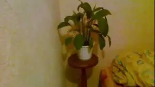 Землетрясение / Earthquake