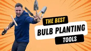 Best Tools for Bulb Planting