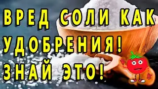 ВРЕД СОЛИ КАК УДОБРЕНИЯ! ЗНАЙ ЭТО!