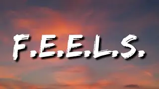 Tory Lanez & Chris Brown - Feels (Lyrics)
