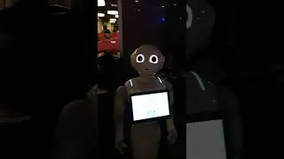 First Ai Robot 🤖 in Srilanka #ai #robot #robotics #robots #trending #trendingshorts #viralvideo