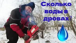 How much water is in wood? Let's measure it.