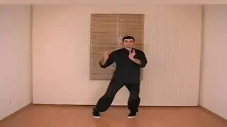 ВИН - ЧУНЬ ---  РЕДКИЙ  СТИЛЬ  ---   ЛЁГКИЙ  ВЕТЕРОК  !!!  Кунг фу  Стиль Вин Чун  Часть 1