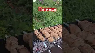 #орчанегуляют #юмор #топ #дача #орск #огород #сад