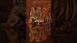 Attitude status 💪💪💪| must watch #lion