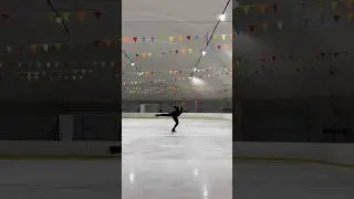 прекрасный красивый риттбергер😻 