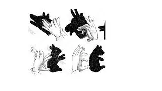 Shadow art with hands | animal faces with shadows | easy to do faces