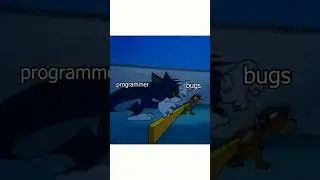 Programmer vs manger