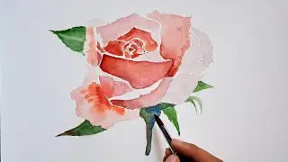 watercolour painting Rose - easy