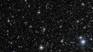 Euclid : NGC 6397