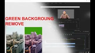 How to Remove Background from Green Screen Video in Premiere Pro