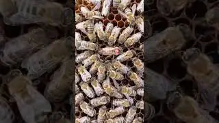 Удивительное рядом.