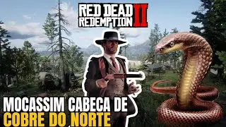 localização Mocassim cabeça de cobre do norte - Red dead 2