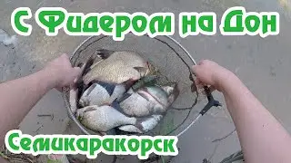Рыбалка в Семикаракорске / Ночная Рыбалка / Дон Батюшка / Фидер на Дону / Осетр / Fishmir /