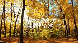 Sunday Brunch - Jazzy / Lofi / Chill Beats - Episode #59