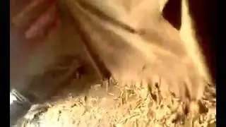 БАРЯЯЯЯЯ