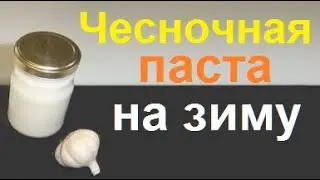 Паста из чеснока на зиму. Два способа заготовки чесночной пасты.