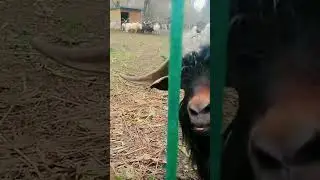 Саня пришёл😄
