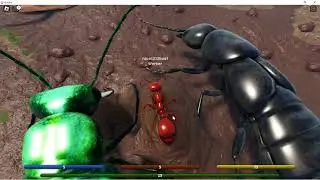 Ant Life V3 is Finally Here!