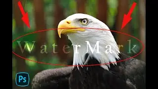 Remove Water Mark esaly just a one minute AdobePhotoshop 2020 M M photoshop tutorials