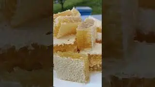 23 июля 2023 г.