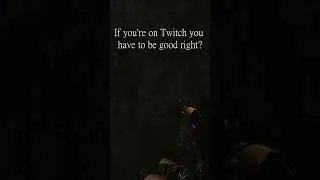 Average Escape From Tarkov Streamer Encounter