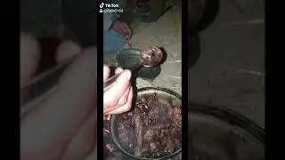TAVŞAN nasıl yenir