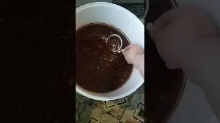 Пивное сусло на 9 мая 2023 г.