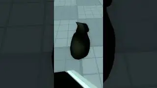 Maxwell cat