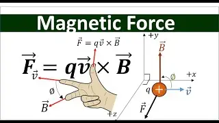 Magnetic Force on a Moving Charged Particle