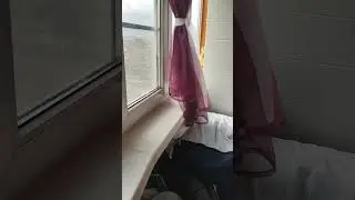 Гулять просится