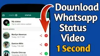 Whatsapp status video