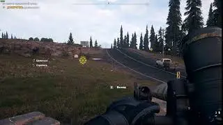 подбил кису(((
