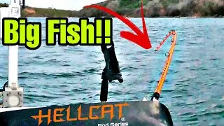 INSTANT Take Down On The HELLCAT Rod! (200 lbs)