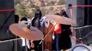 Coleadura. Lobo salvaje de la sierra