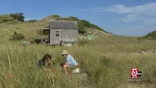 Conflict continues between dune dwellers and the National Park Service