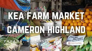 KEA Farm Market at Cameron Highland Malaysia | Walking Tour in 4K
